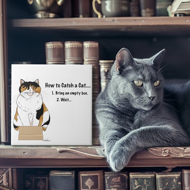 Carreau Comment attraper un chat (Créateur téléchargé)