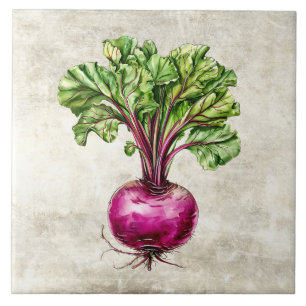 Carreau Conception aquarelle de betteraves rustiques avec