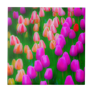 Carreau Conception florale de tulipe rose et orange