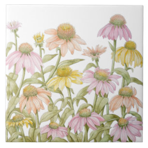 Carreau Coneflowers Watercolor