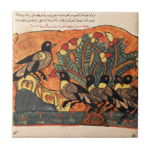 Carreau Conseil King Crow Renaissance indienne