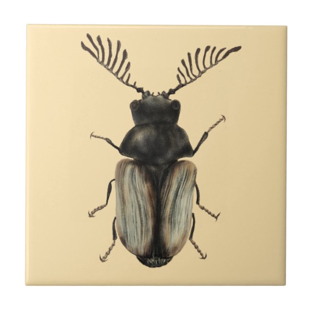 Carreau Cool dendroctone insecte amant entomologie art (Devant)