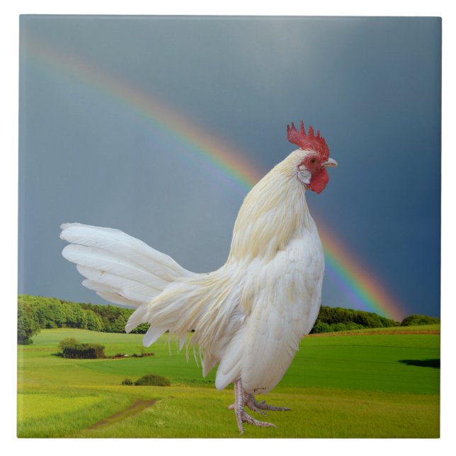 CARREAU COQ BLANC SOUS UN ARC-EN-CIEL (Devant)