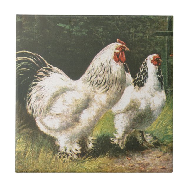 Carreau Coq et poule (Devant)