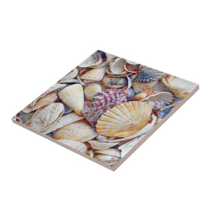 Carreau Coques marines nautiques Ocean Beach Aquarelle