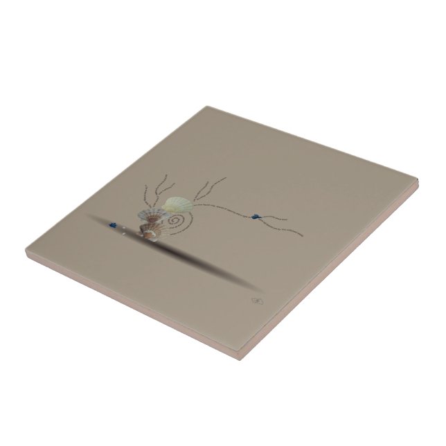 Carreau Coquillage beige carrelage rose comme décor de pla (Côté)