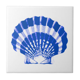 Carreau Coquillage - bleu et blanc de cobalt