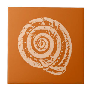 Carreau Coquillage Spiral, Carrelage En Céramique Orange D