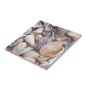 Carreau Coquillages Croquis Océan Plage Nautique Thème