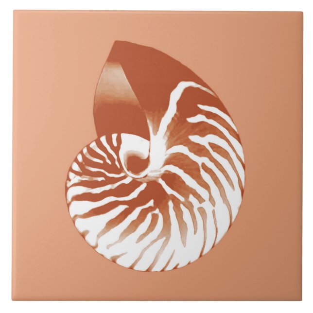 Carreau Coquille de Nautilus - terre cuite et blanche (Devant)