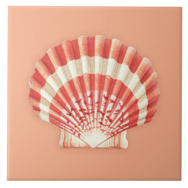 Carreau Coquille marine - corail orange et blanc (Devant)