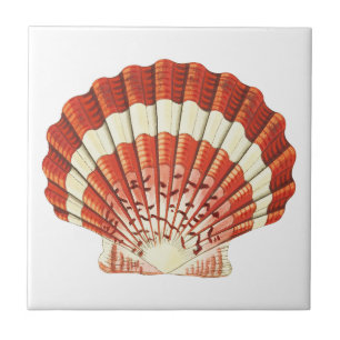 Carreau Coquille Vintage rouge et jaune pâle de saint-sai