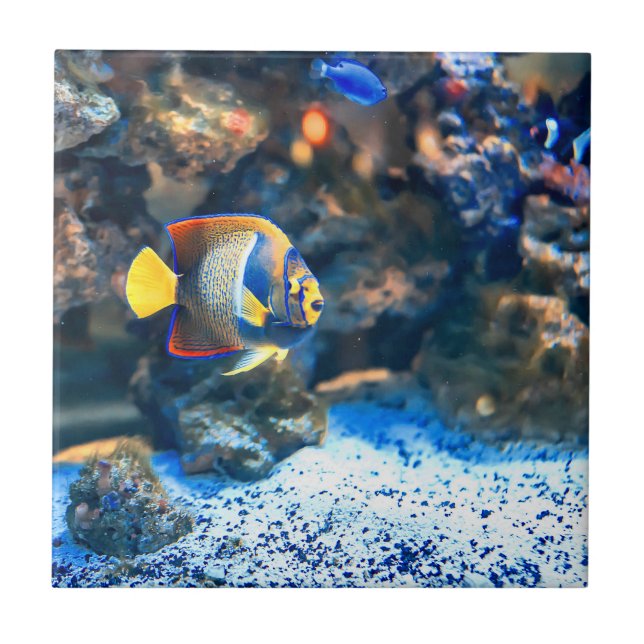 Carreau Corail tropical vibrant sous-marin de poissons (Devant)