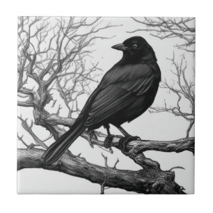 Carreau Corbeau perché sur des branches nues d'hiver
