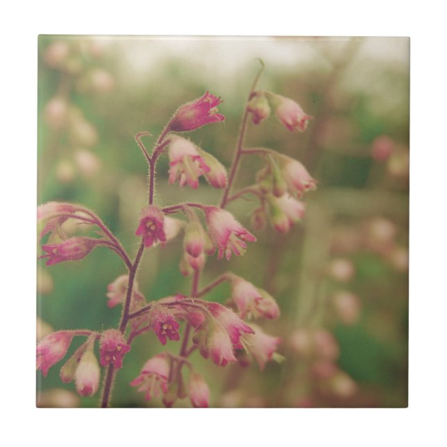 Carreau Corelbells, Fleurs de printemps (Devant)