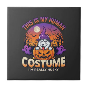 Carreau Costume Humain Husky Citrouille Halloween Fantômes