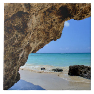 Carreau Côte tropicale de plage avec un Big Rock