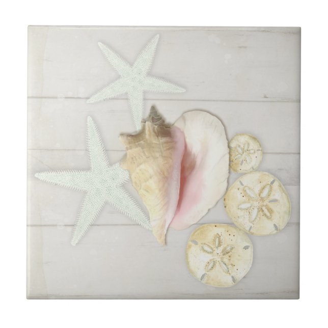 Carreau Cottage de plage Amidon de poisson de mer Conque d (Devant)