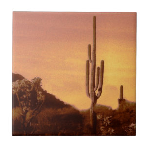 Carreau coucher de soleil de Sonoran