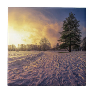 Carreau Coucher de soleil sur le parc d'hiver enneigé