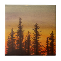 Coucher du soleil de Pinetree