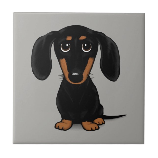 Carreau Coucou court haïré noir et tan Dachshund (Devant)