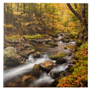 Carreau Couleur d'automne Jefferson Brook Montagnes blan