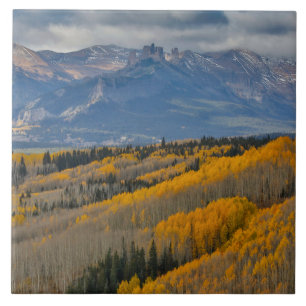 Carreau Couleurs d'automne sur Aspen Groves