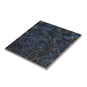 Carreau Couleurs d'un carrelage en Abalone
