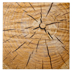 Carreau Coupe de vie en bois noueuse