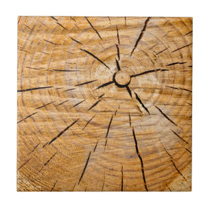 Carreau Coupe de vie en bois noueuse