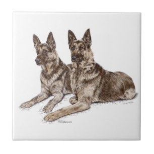 Carreau Couple de Chiens Berger Allemand