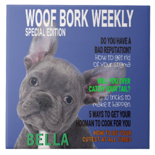 Carreau Couverture du magazine Boston Terrier Parody