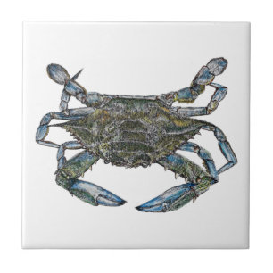 Carreau Crabe bleu de la baie Chesapeake