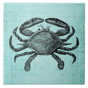 Carreau Crabe marine Art antique Conception de papier Turq