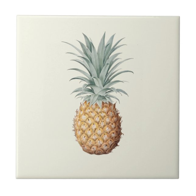 Carreau Crème d'ananas vintage (Devant)