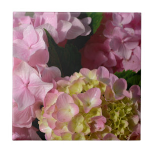 Carreau Crème rose Hydrangeas jaune rose vert floral