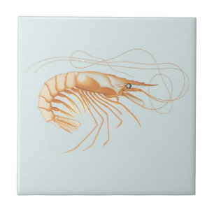 Carreau Crevette ou Prawn, Vie marine océanique vintage An