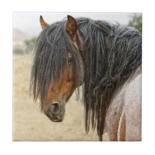 Carreau Crinière de cheval