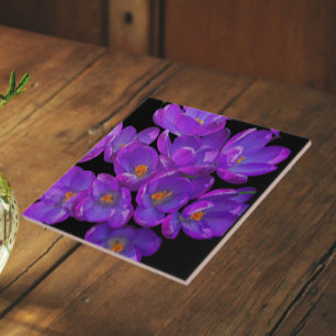 Carreau Crocus Floraux de Printemps Violets