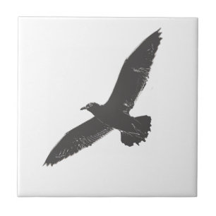 Carreau Croquis Flying Seagull Wings