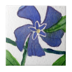 Carreau Cuisine "Vinca Vine" Jardin Carrelage céramique