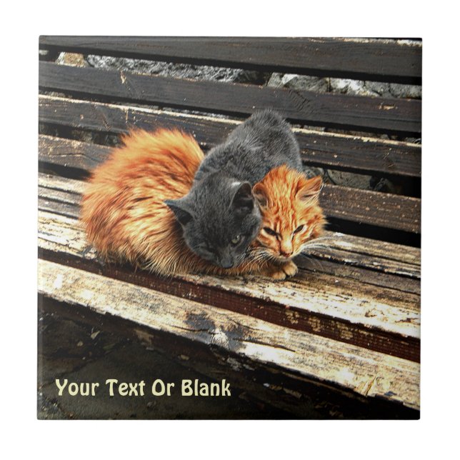 Carreau Cuisses Catnap (Devant)