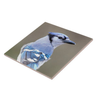 Carreau Cute Bleu Jay Songbird sur Treestump