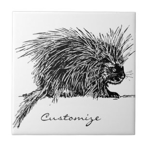 Carreau Cute Bristly Hedgehog Thunder_Cove