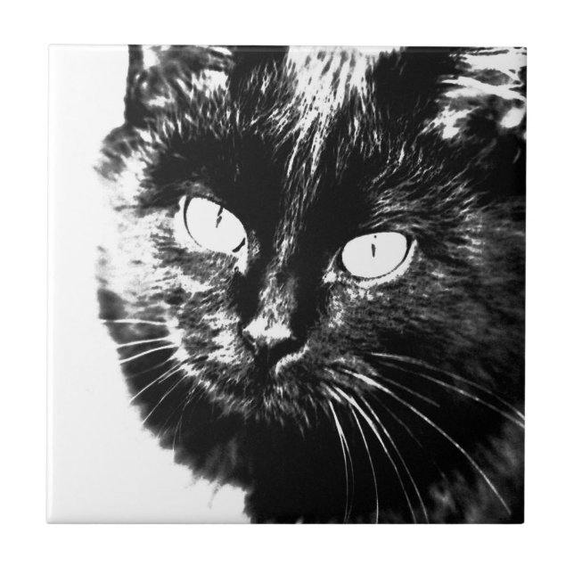 Carreau Cute Funky Noir Et Blanc Chat Kitten Croquis (Devant)