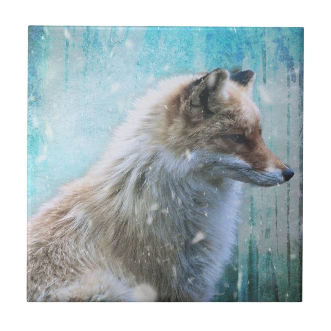 Carreau Cute Furry Fox sur Blue Grunge Arrière - plan (Devant)