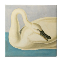 Carreau Cygne trompette par John James Audubon, Oiseau Vin