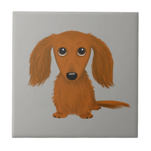 Carreau Dachshund rouge de longue date  Doxie mignon Doxie