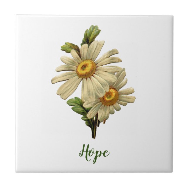 Carreau Daisy Hope Inspiration (Devant)